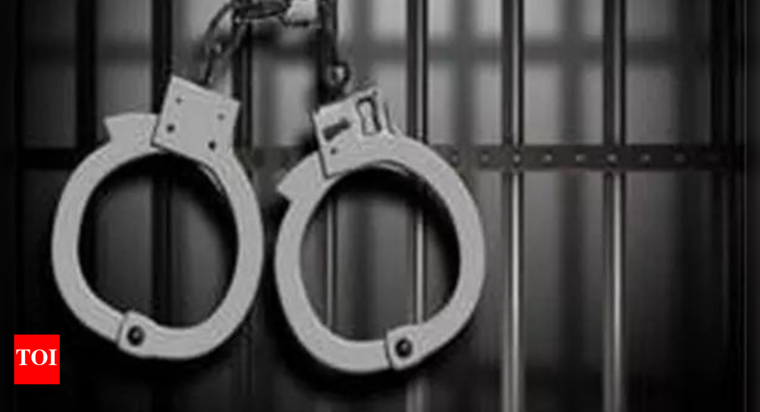23 ‘subversive elements’ booked under PSA in Srinagar
