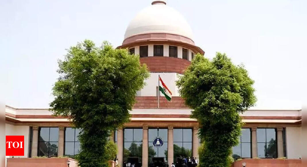 Plea in Supreme Court challenges Assam’s ‘push back’ drive against alleged foreigners | India News