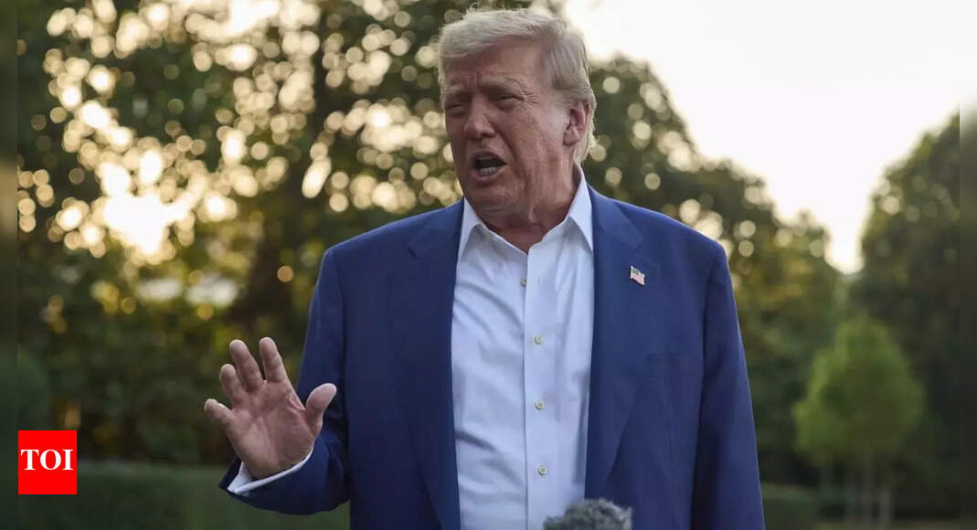 Trump’s ‘big, beautiful bill’: How US president could change America’s immigration system – the wall, ICE & more
