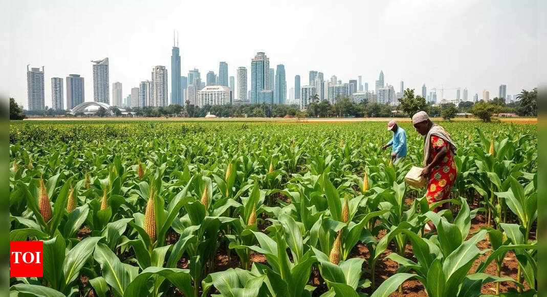 Nigerian farms battle traffic, developers in downtown Abuja