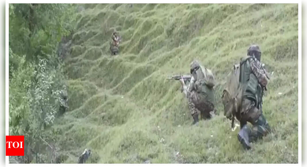 Operation Bihali: 1 terrorist killed by forces in J&K’s Basantgarh; encounter under way | India News