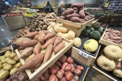 The Path Forward From Tariff Uncertainty That Saps Ingenuity