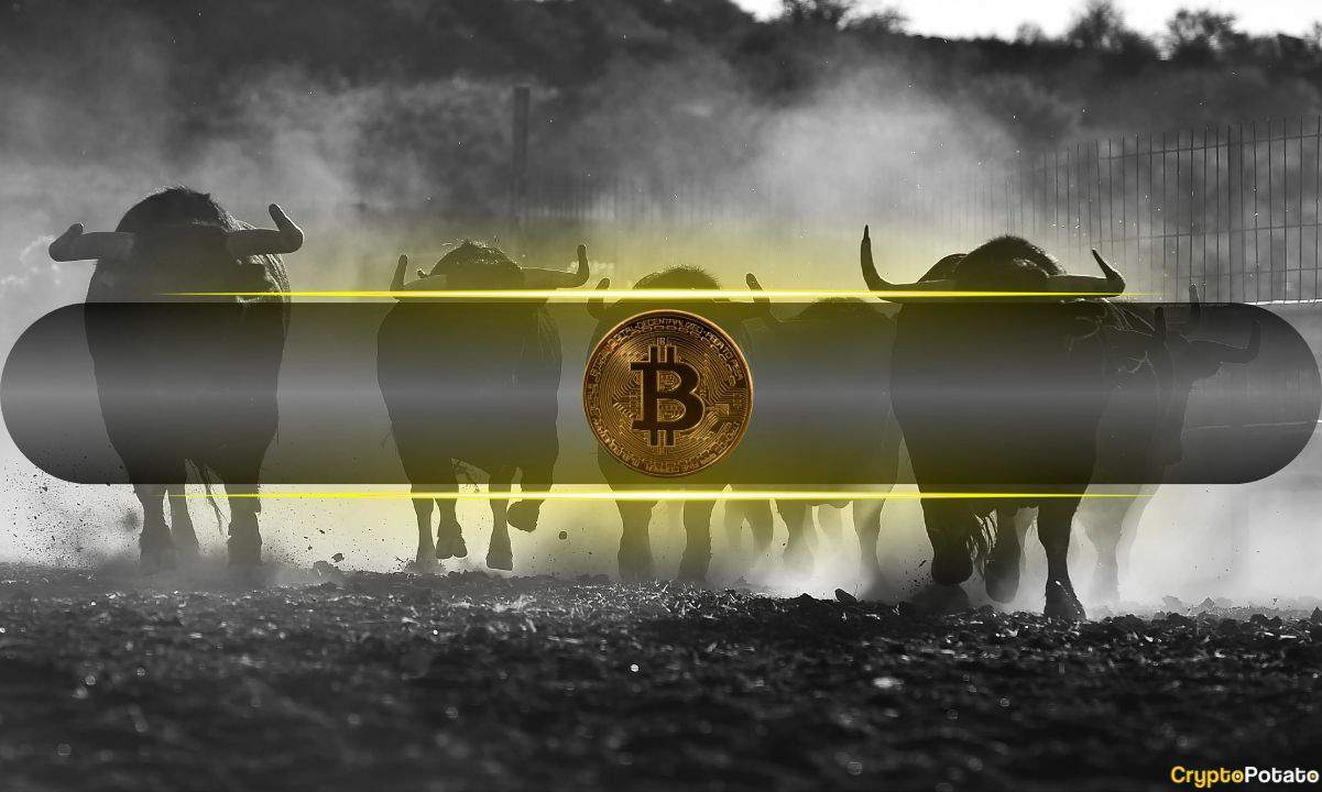Bitcoin Slows Down, But Fall 2025 Could Ignite Its Biggest Rally Yet
