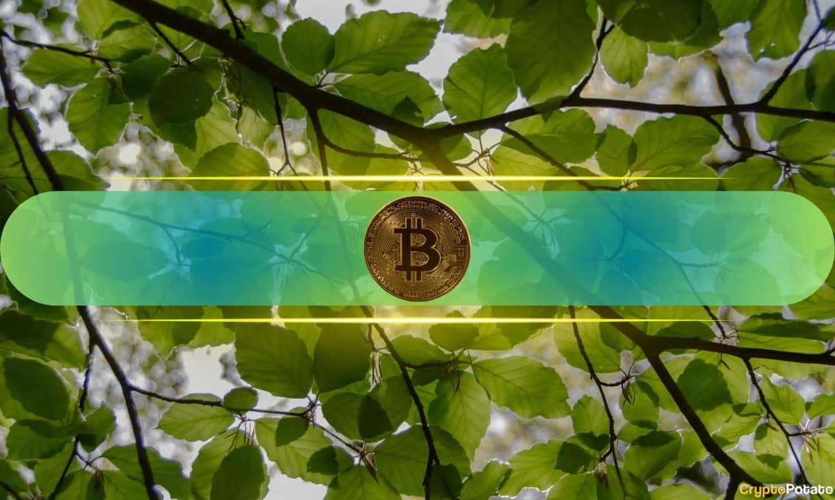 Why Bitcoin’s Structure Remains Unshaken