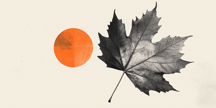 CAD is unable to resist USD advance and risks a retest of 1.40 – Scotiabank